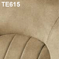 Illustration of colour FRONT DOOR PANEL BEIGE ALCANTARA